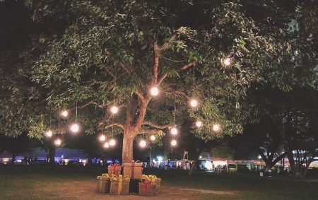 garden lighting tree